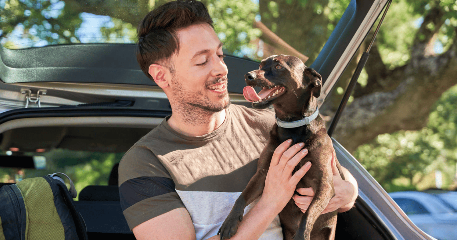 Como transportar seu pet com segurança no carro