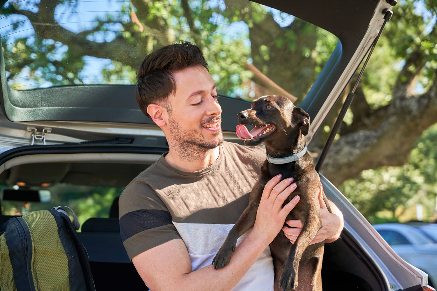 Como transportar seu pet com segurança no carro